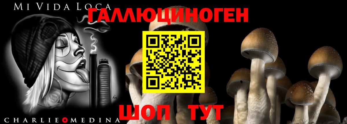 Галлюциногенные грибы ЛСД Кострома